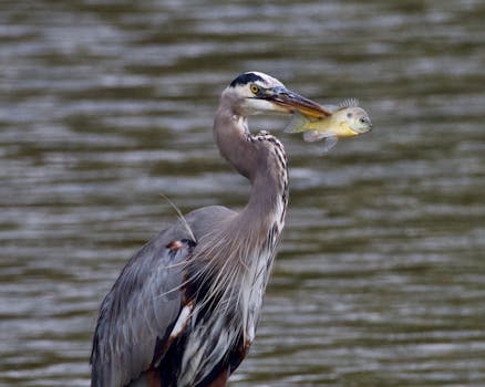 （经济观察）税费政策支持中国经济向“绿”发展