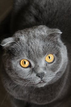 从无序到有序：人工智能数字空间的法治之路