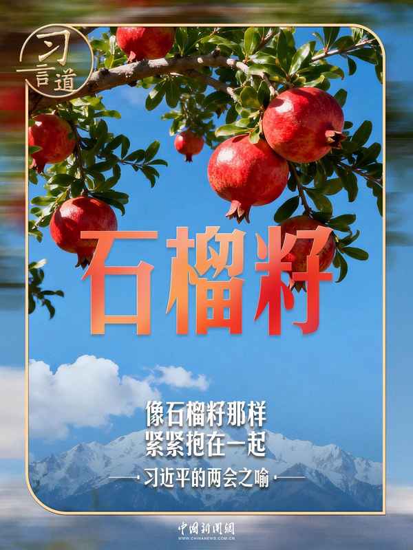 习近平的两会之喻｜像石榴籽那样紧紧抱在一起
