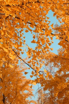  多重因素交织下，黄金板块迎来新机遇；技术创新驱动行业变革。 股票财经 多重因素交织下，黄金板块迎来新机遇；技术创新驱动行业变革。 股票财经