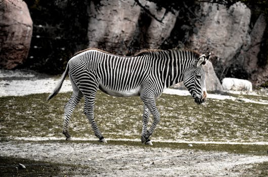 财报数据揭秘：透视智能座舱企业的造血逻辑 股票财经