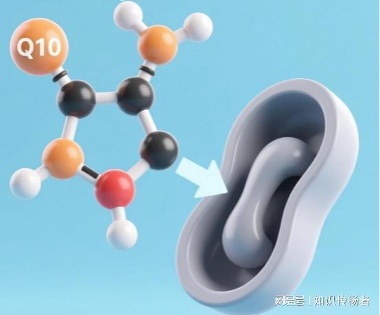  备孕焦虑如何化解？深挖卵巢功能修复背后的生理逻辑与实践方案 健康养生