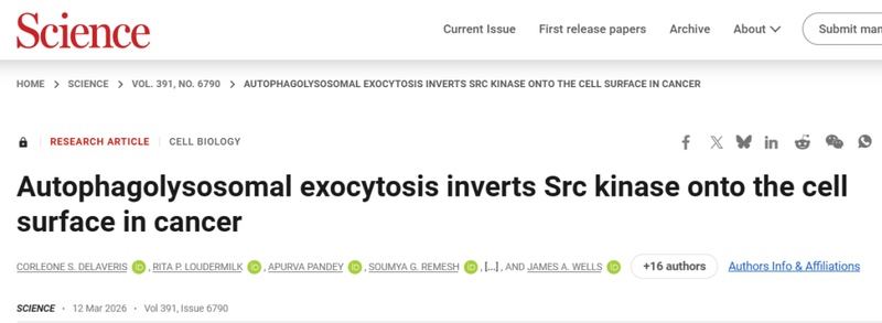  【技术突破】从细胞内到细胞表面：Src激酶定位重写50年教科书 新闻 【技术突破】从细胞内到细胞表面：Src激酶定位重写50年教科书 新闻 【技术突破】从细胞内到细胞表面：Src激酶定位重写50年教科书 新闻