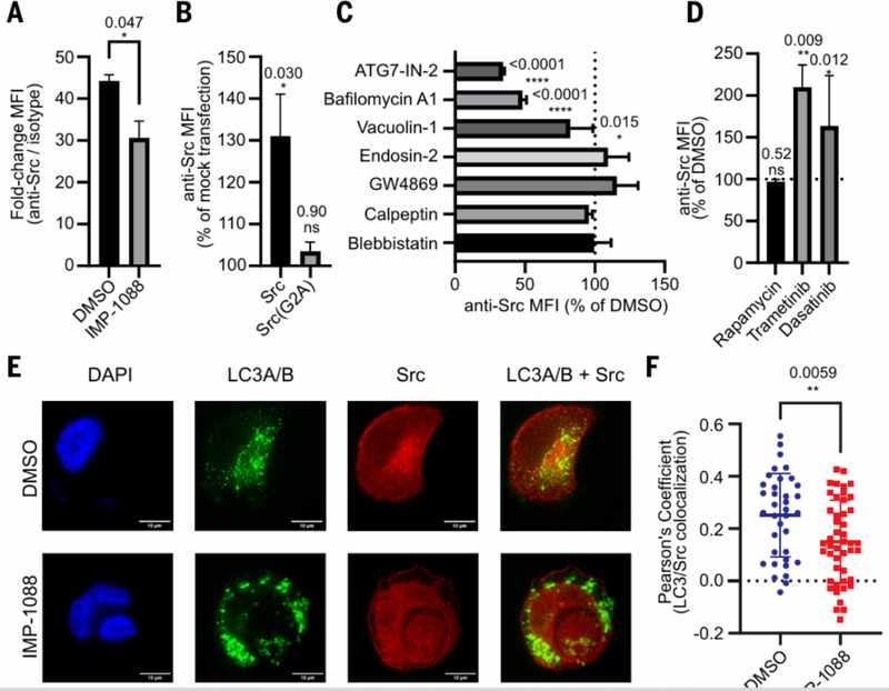  【技术突破】从细胞内到细胞表面：Src激酶定位重写50年教科书 新闻 【技术突破】从细胞内到细胞表面：Src激酶定位重写50年教科书 新闻 【技术突破】从细胞内到细胞表面：Src激酶定位重写50年教科书 新闻