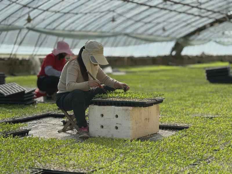  从播种到回收：榆林春耕的技术破局与农机协同作战体系 新闻 从播种到回收：榆林春耕的技术破局与农机协同作战体系 新闻