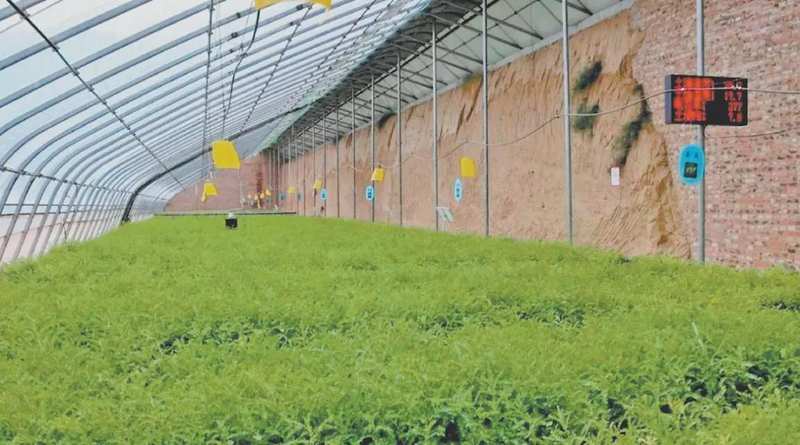  从播种到回收：榆林春耕的技术破局与农机协同作战体系 新闻 从播种到回收：榆林春耕的技术破局与农机协同作战体系 新闻