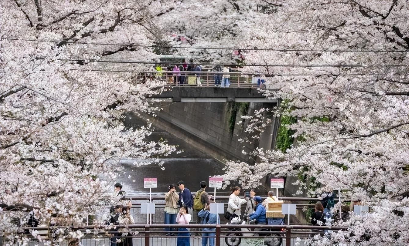  53条航线全部停飞：一位旅游从业者眼中的中日关系变化 文化旅游 53条航线全部停飞：一位旅游从业者眼中的中日关系变化 文化旅游