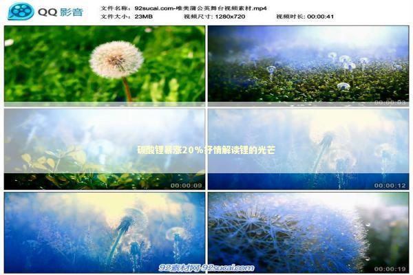 碳酸锂暴涨20%抒情解读锂的光芒