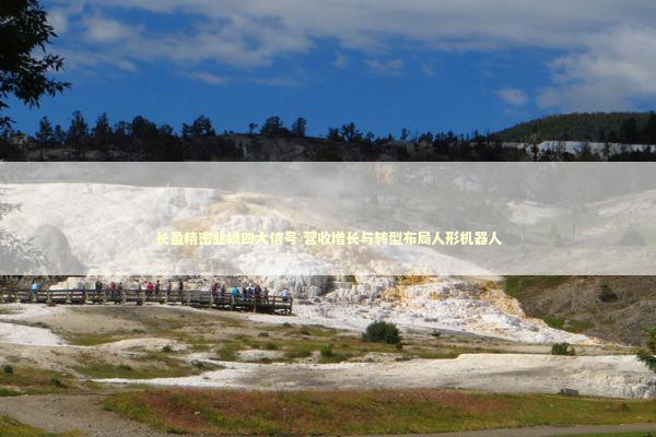 长盈精密业绩四大信号 营收增长与转型布局人形机器人