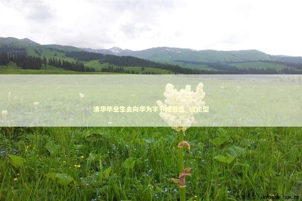 清华毕业生去向华为字节成首选_议论型