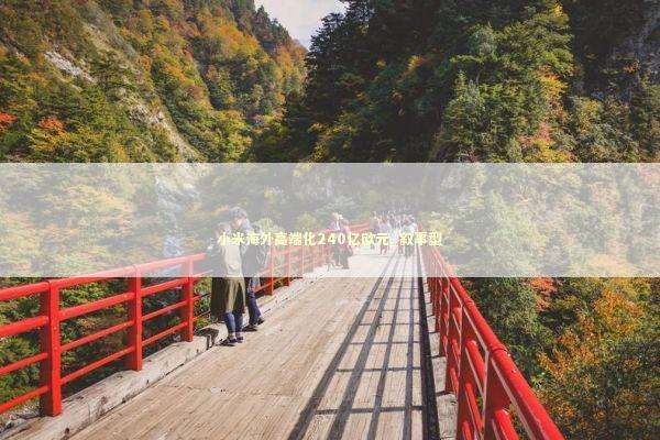 小米海外高端化240亿欧元_叙事型