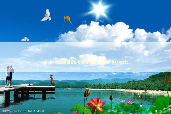 MiniMax上市后首份年报营收增158-MiniMax对比