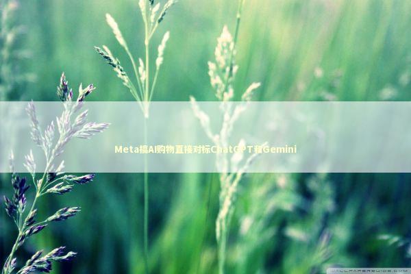 Meta搞AI购物直接对标ChatGPT和Gemini
