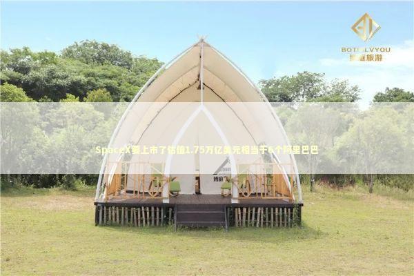 SpaceX要上市了估值1.75万亿美元相当于6个阿里巴巴