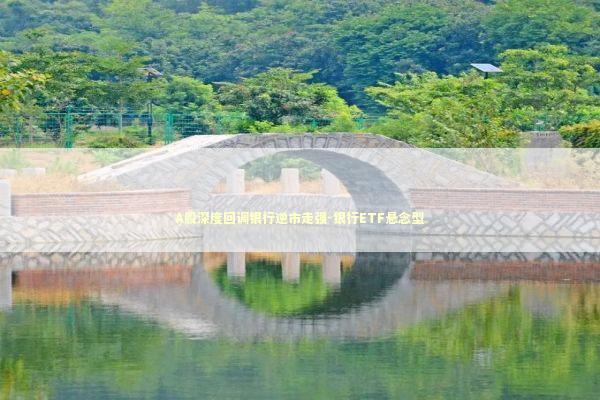 A股深度回调银行逆市走强-银行ETF悬念型