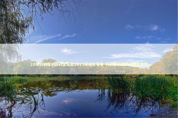 28家科创板创新药企交出2025年成长答卷-科创板创新药小题大做型