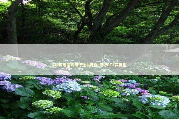 A股深度回调银行逆市走强-银行ETF实用型