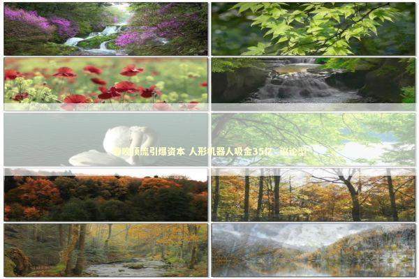 春晚顶流引爆资本 人形机器人吸金35亿_议论型