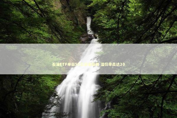 石油ETF单日53亿资金抢筹 溢价率高达20