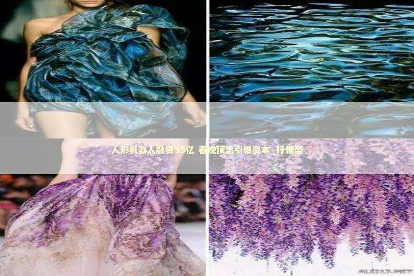 人形机器人融资35亿 春晚顶流引爆资本_抒情型