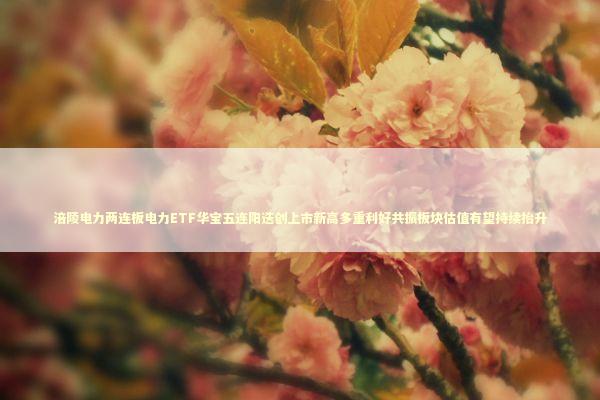 涪陵电力两连板电力ETF华宝五连阳迭创上市新高多重利好共振板块估值有望持续抬升