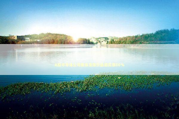 A股半导体公司集体发涨价函最高涨80%