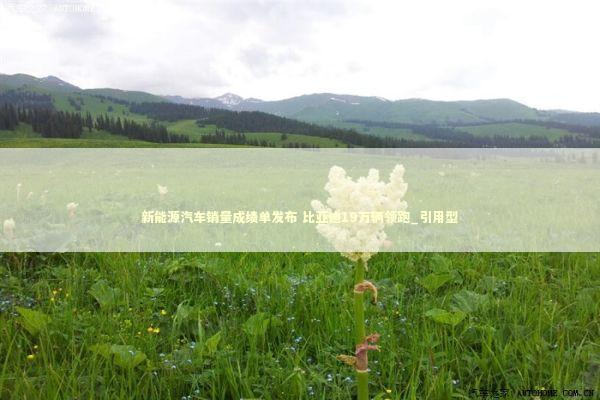 新能源汽车销量成绩单发布 比亚迪19万辆领跑_引用型