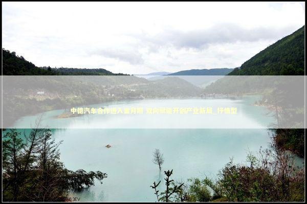 中德汽车合作进入蜜月期 双向赋能开创产业新局_抒情型