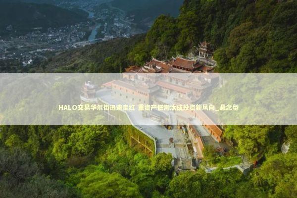HALO交易华尔街迅速走红 重资产低淘汰成投资新风向_悬念型