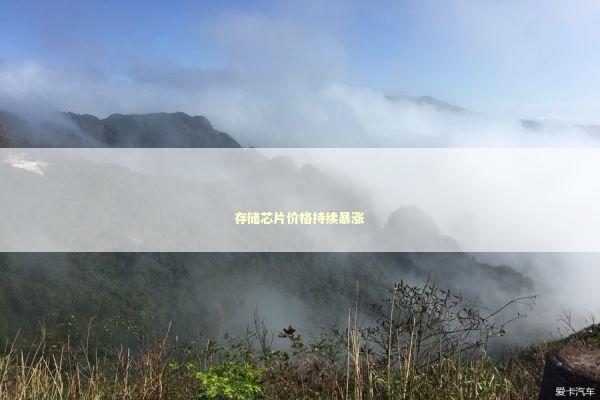 存储芯片价格持续暴涨