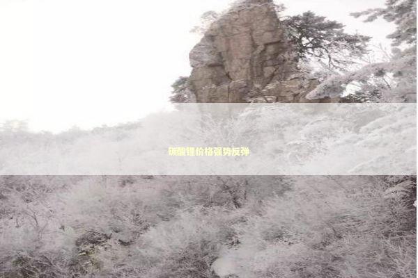 碳酸锂价格强势反弹