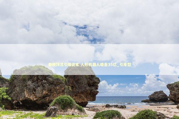 春晚顶流引爆资本 人形机器人吸金35亿_引用型