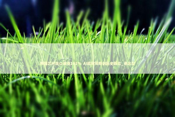 韩国芯片出口暴涨161% AI超级周期创历史新高_悬念型