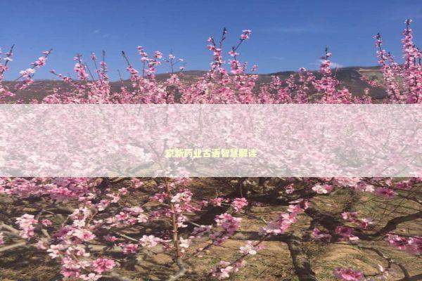 京新药业古语智慧解读