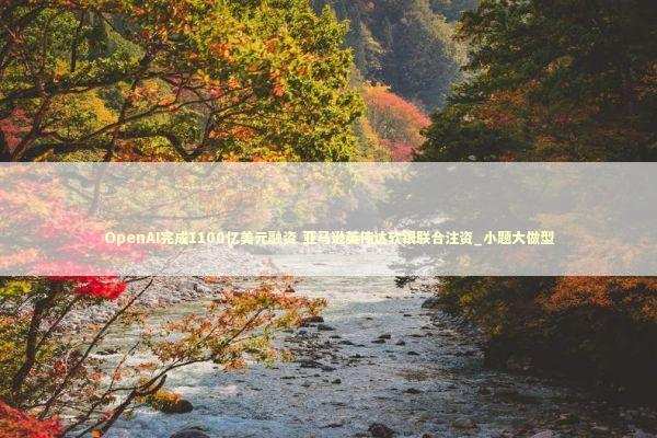 OpenAI完成1100亿美元融资 亚马逊英伟达软银联合注资_小题大做型