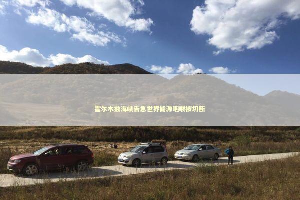 霍尔木兹海峡告急世界能源咽喉被切断