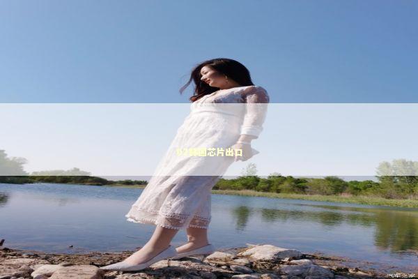 02韩国芯片出口