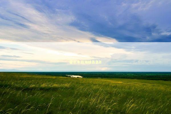 霍尔木兹海峡告急B