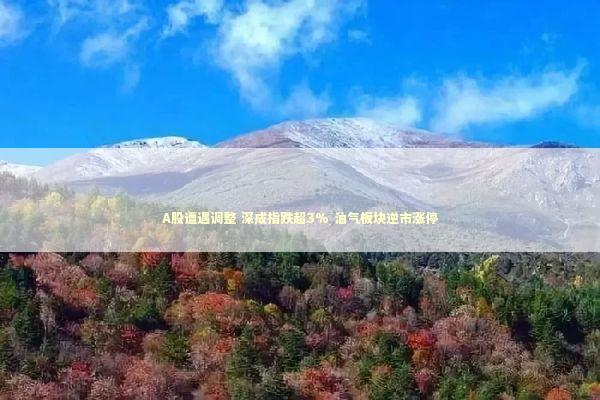 A股遭遇调整 深成指跌超3% 油气板块逆市涨停