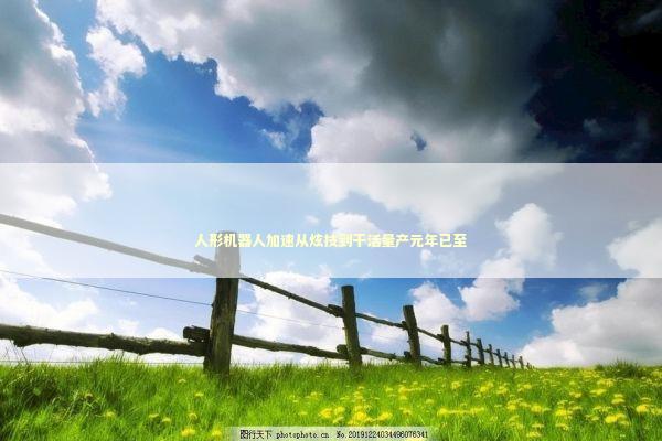 人形机器人加速从炫技到干活量产元年已至