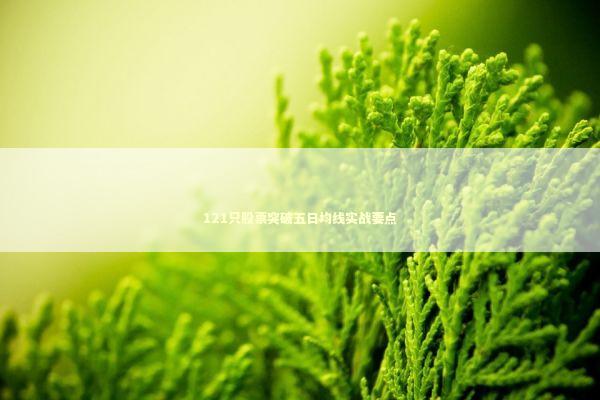 121只股票突破五日均线实战要点
