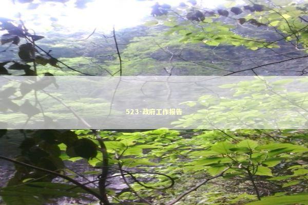 523-政府工作报告