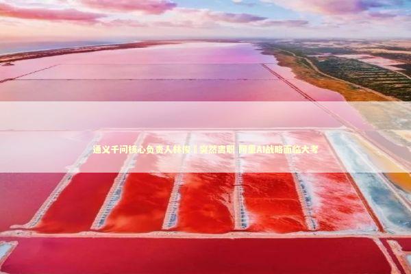 通义千问核心负责人林俊旸突然离职 阿里AI战略面临大考