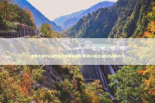 摩根大通中石油为亚太能源首选股 即便60美元油价仍具吸引力