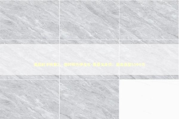 英超射手榜第2，德转预热伊戈尔-蒂亚戈身价：最高涨至5500万