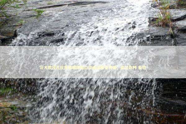 北大教授孔庆东被曝爆粗口攻击汉服支持者：皇汉杂种 畜牲