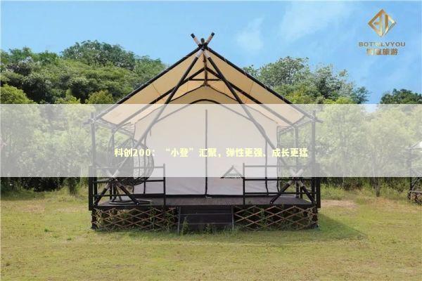 科创200：“小登”汇聚，弹性更强、成长更猛