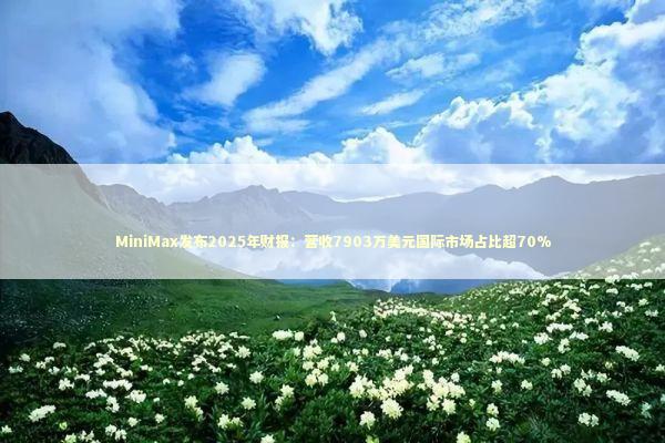 MiniMax发布2025年财报：营收7903万美元国际市场占比超70%