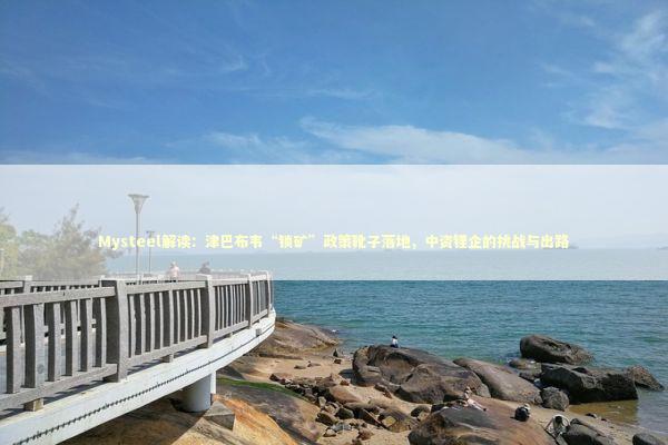 Mysteel解读：津巴布韦“锁矿”政策靴子落地，中资锂企的挑战与出路