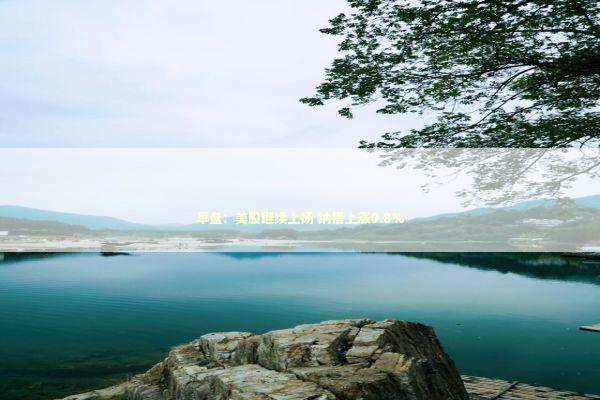 早盘：美股继续上扬 纳指上涨0.8%